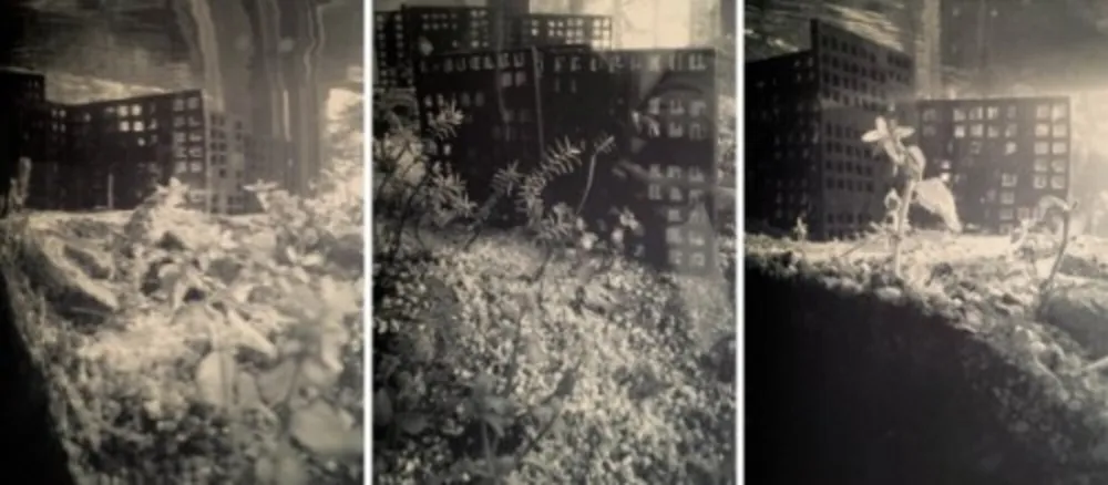 Photographie Iglesias - Aquarium II