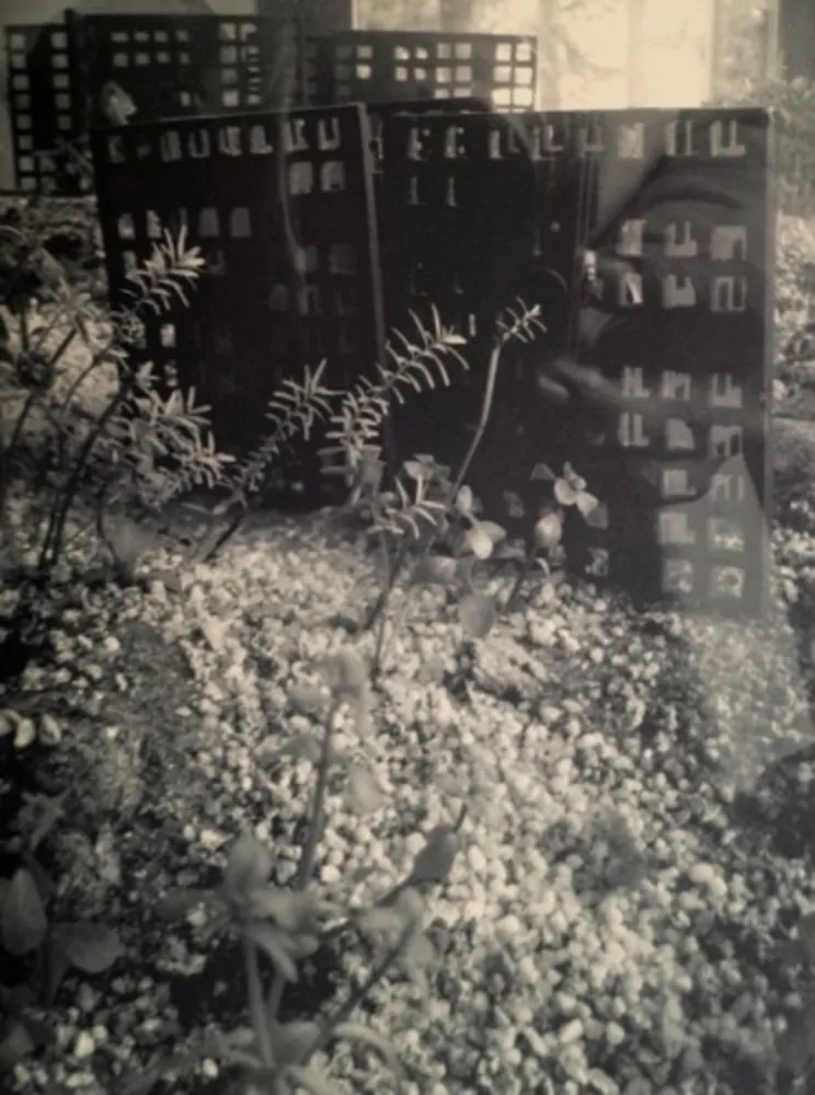 Photographie Iglesias - Aquarium II, 2