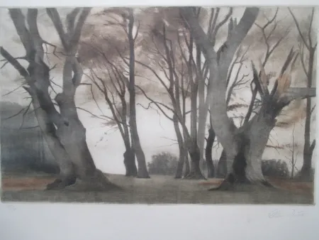 Manière Noire Ilsted - Trees in Ermelunden