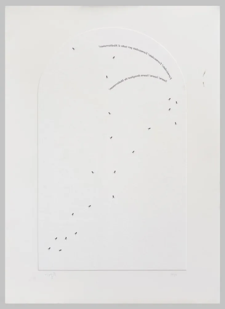 Sérigraphie Isgro - Formicolate! Formicolate! Formicolate per tutto il mediterraneo!