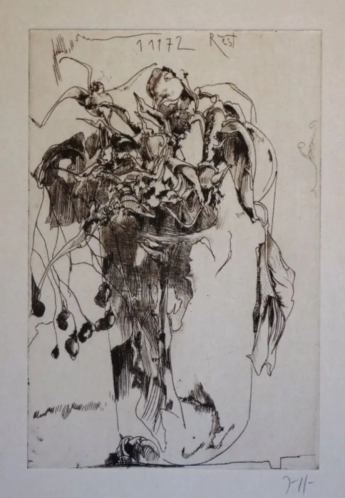 Gravure Janssen - Rest 1 11 72