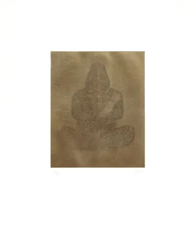 Gravure Kaga - Sleeping with gorilla