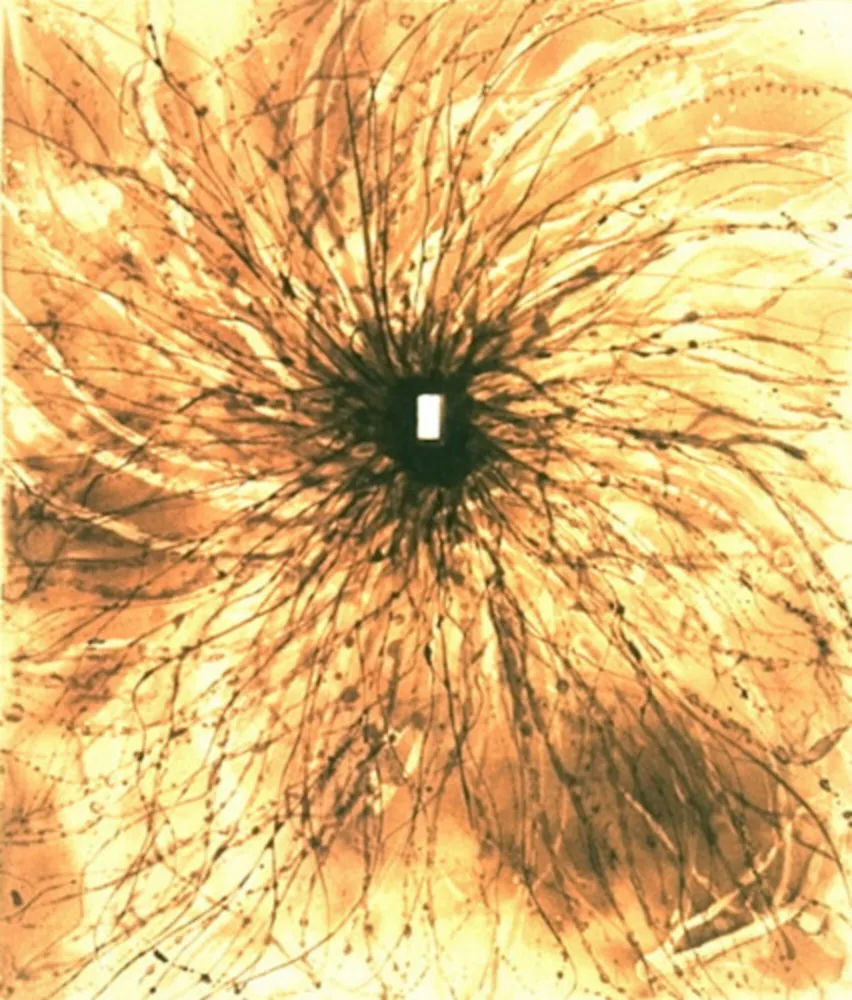 Aquatinte Kapoor - Door