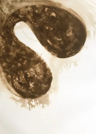 Aquatinte Kapoor - Untitled (12)