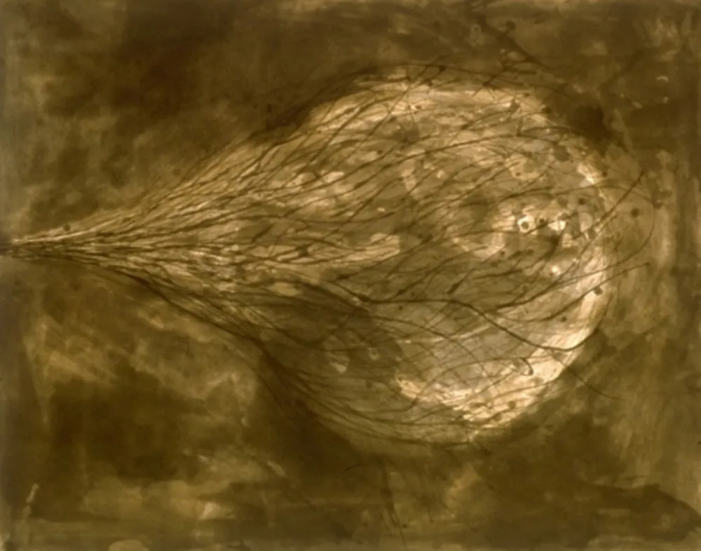 Aquatinte Kapoor - Untitled (III)