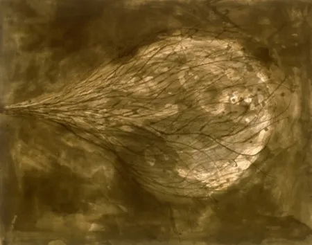 Aquatinte Kapoor - Untitled (III)