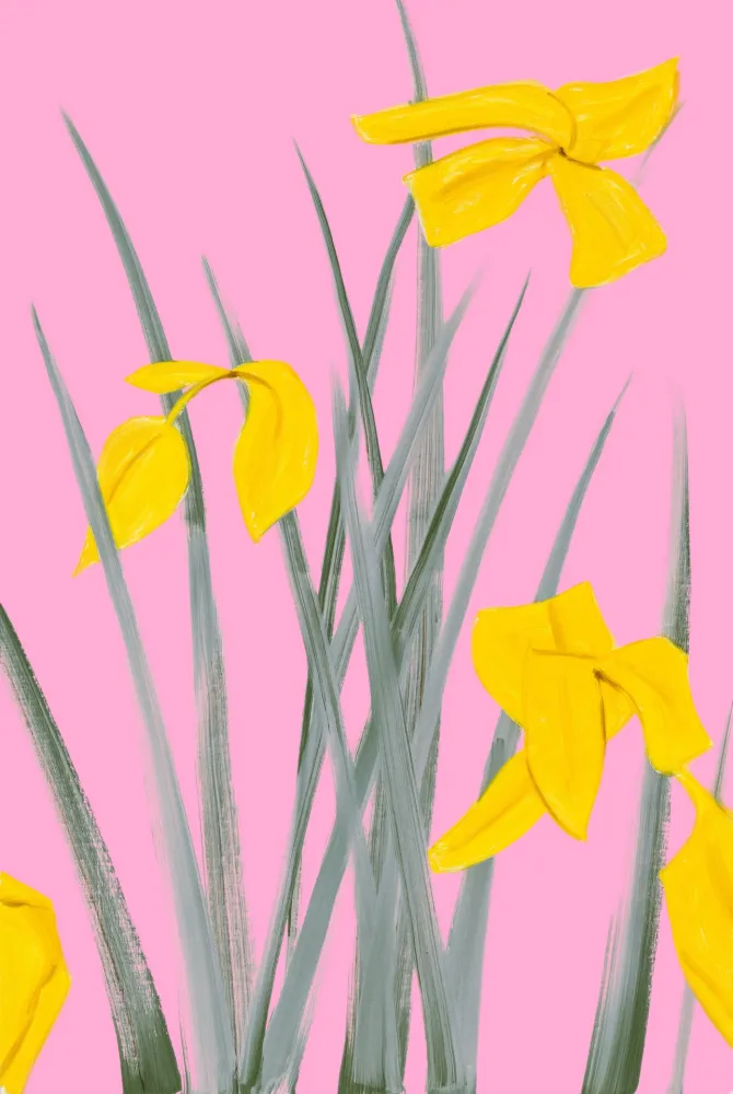 Aucune Technique Katz - Yellow Flags 3