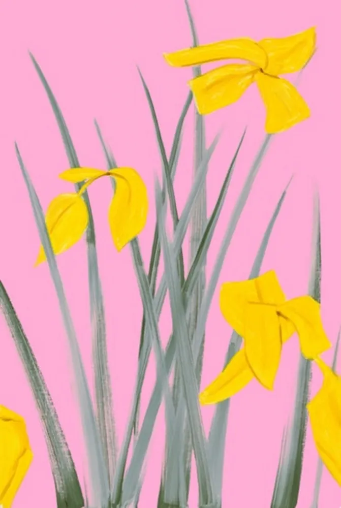 Aucune Technique Katz - Yellow Flags 3