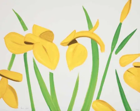 Aucune Technique Katz - Yellow Flags on White