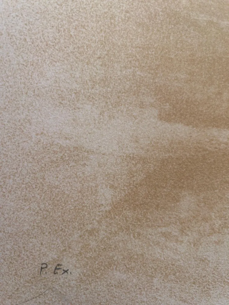 Lithographie Lam - El ultimo Viajedel buque fantasma 