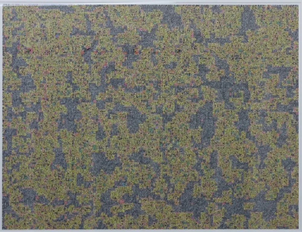 Estampe Numérique Leherpeur - Compression ADS 2