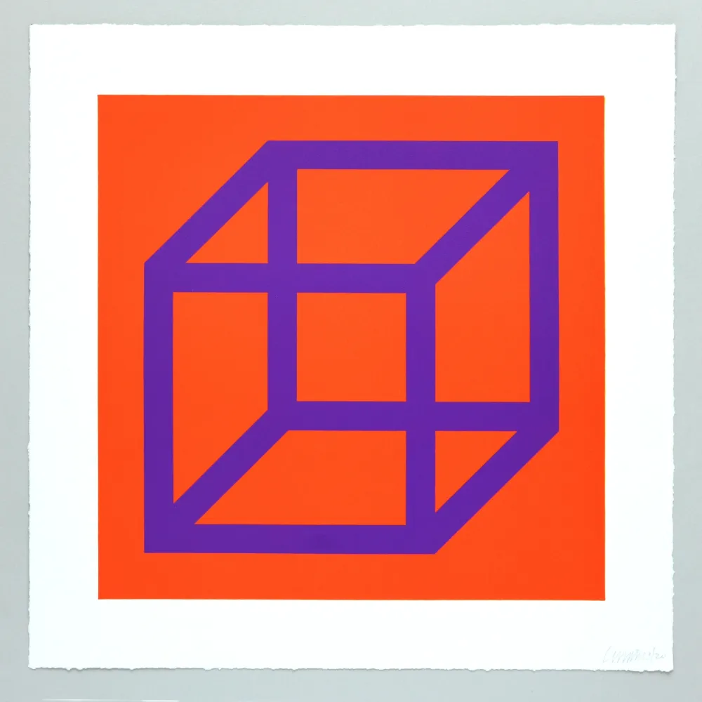 Aucune Technique Lewitt - Open Cube in Color on Color Plate 29