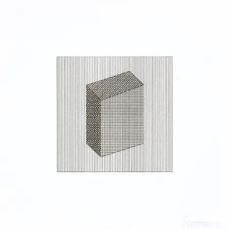 Sérigraphie Lewitt - Twelve Forms Derived From a Cube 18