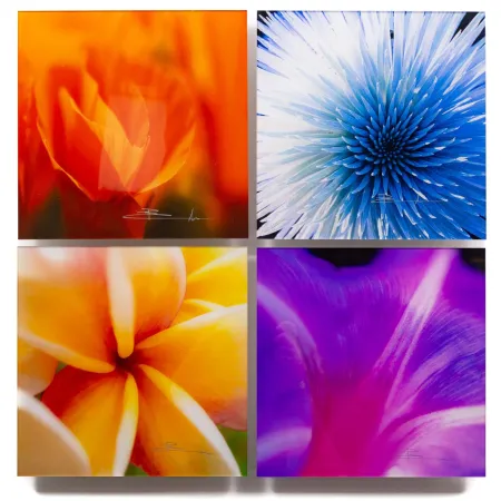 Photographie Lik - Flowers of Paradise