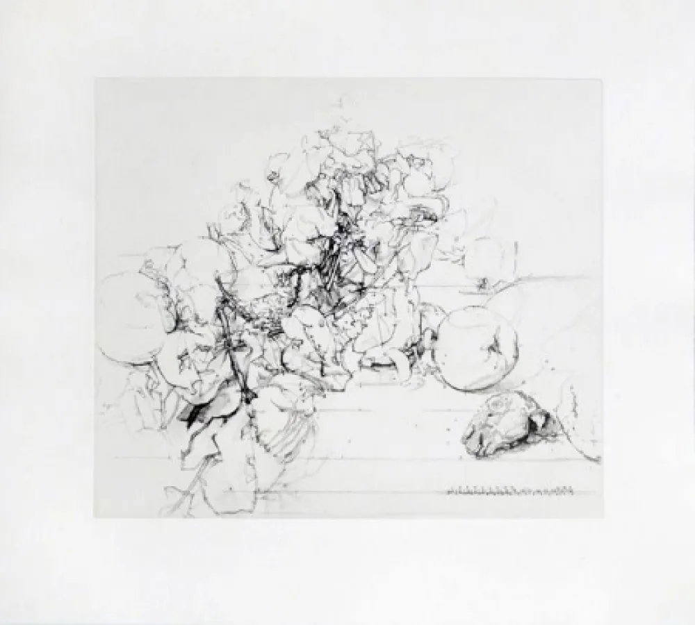 Eau-Forte Et Aquatinte López Garcia - Membrillos, granadas y cabeza de conejo