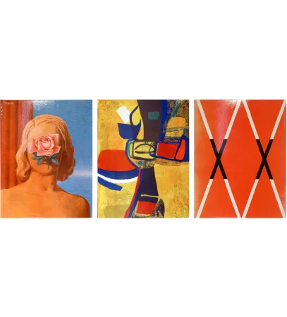 Livre Illustré Magritte - XXe SIÈCLE. Nouvelle série. XXVIIe Année. N° 25. AUX SOURCES DE L'IMAGINAIRE. Juin 1965 (Estève, Magritte)