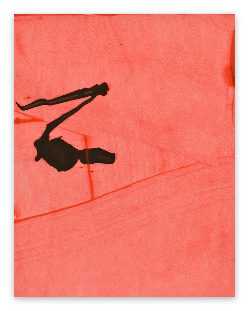 Aucune Technique Maine - Frankly Scarlet 30