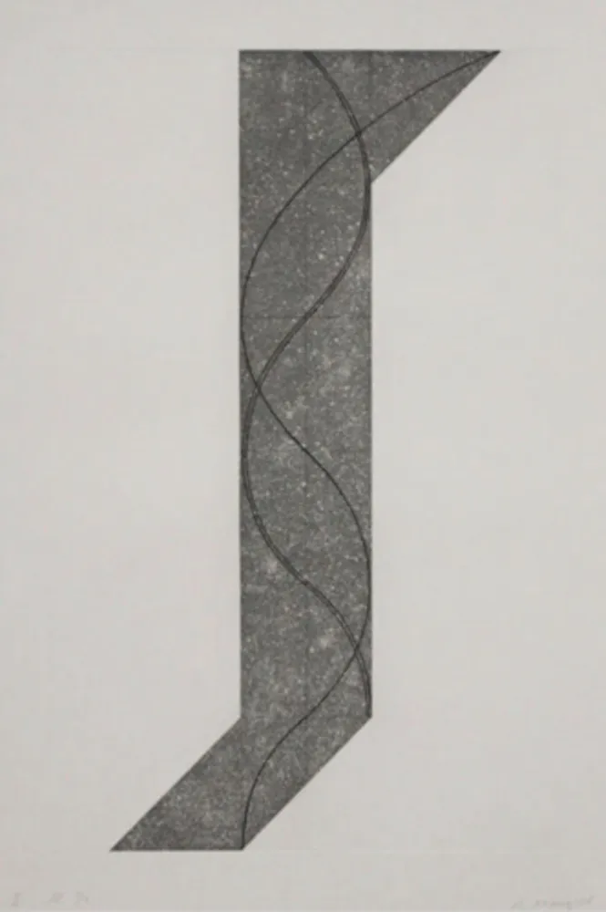 Eau-Forte Et Aquatinte Mangold - Untitled II