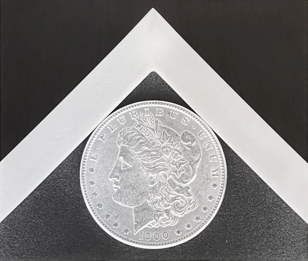 Photographie Mapplethorpe - Silver Dollar