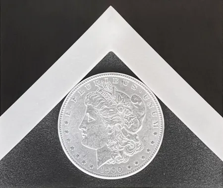 Photographie Mapplethorpe - Silver Dollar