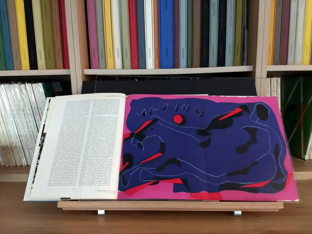 Livre Illustré Marini - Hommage