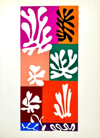 Lithographie Matisse - Fleurs de neige 