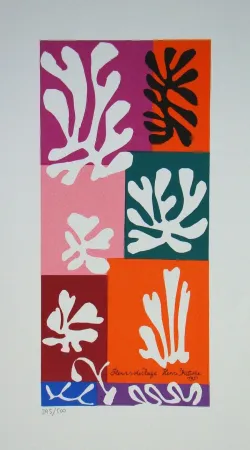 Sérigraphie Matisse - Fleurs de Neige, 1951