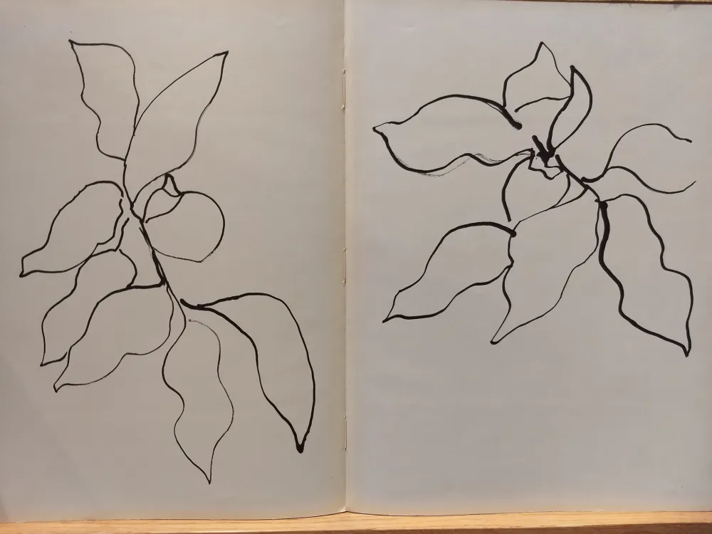 Livre Illustré Matisse - Vence