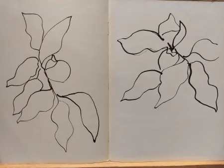 Livre Illustré Matisse - Vence