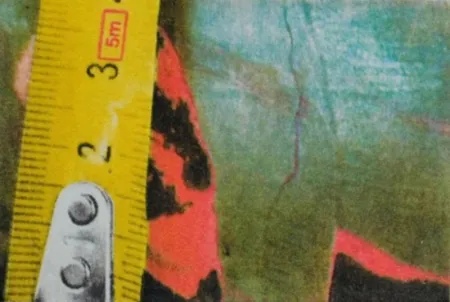 Photographie Mcbride - Untitled (Rulers III)