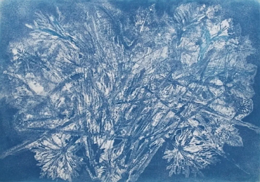 Eau-Forte Et Aquatinte Messagier -  Machine à Printemps 