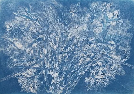 Eau-Forte Et Aquatinte Messagier -  Machine à Printemps 