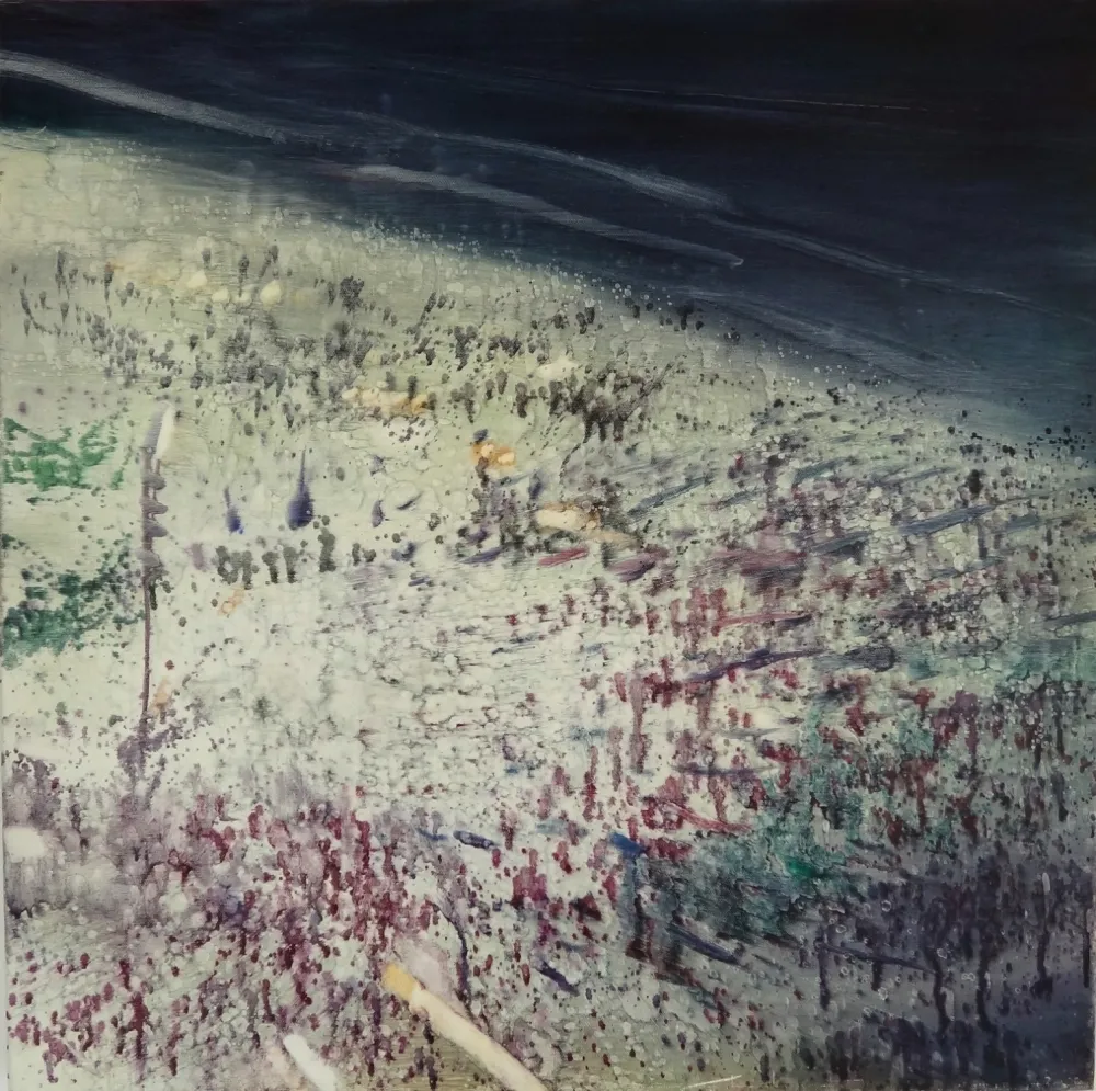 Aucune Technique Meyer - Rio Beach