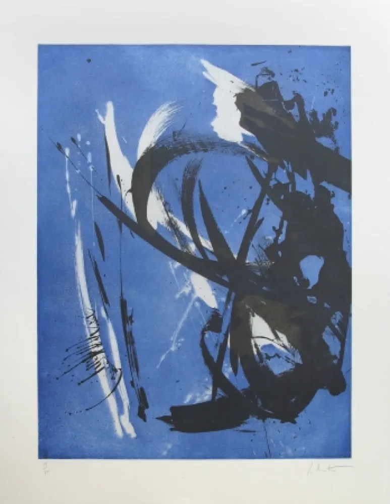 Eau-Forte Miotte - Propos délibérés océan