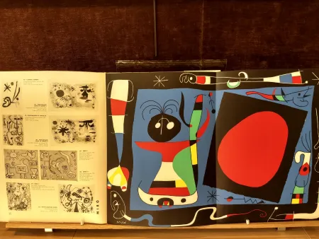 Livre Illustré Miró - 10 ans edition