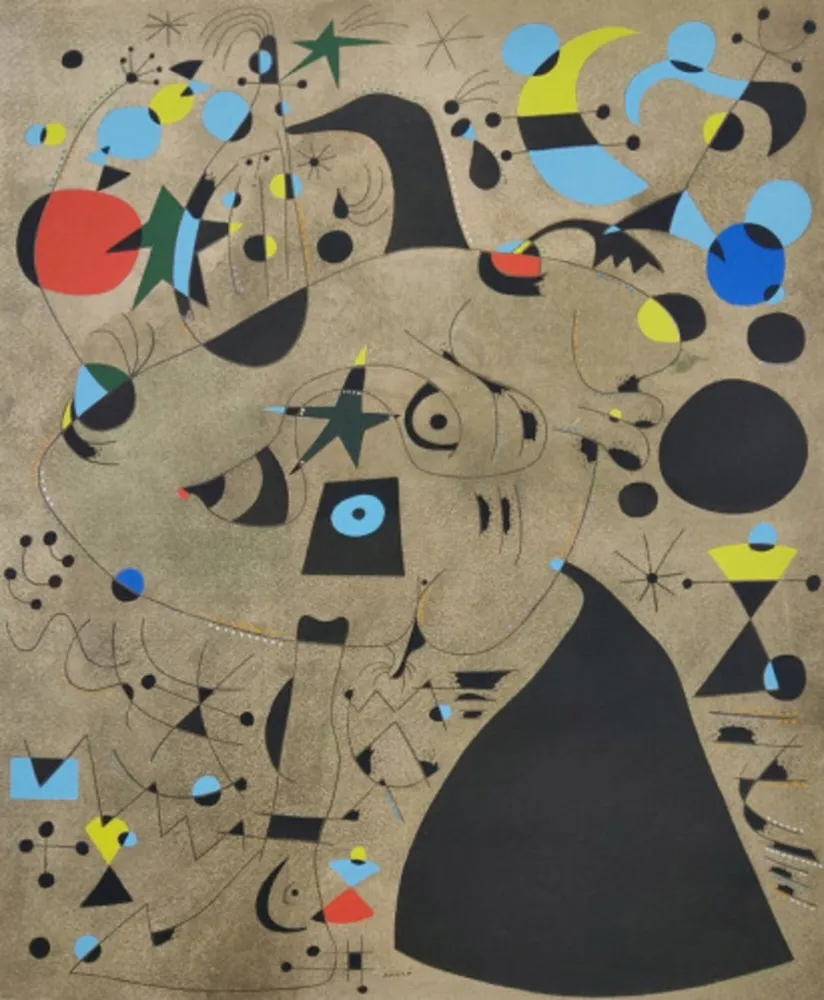 Lithographie Miró - Femme dans la nuit, Plate IX