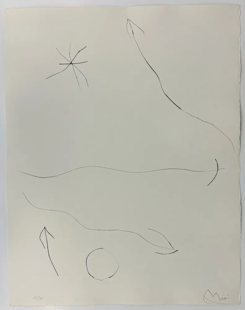 Pointe-Sèche Miró - Journal d'un graveur II