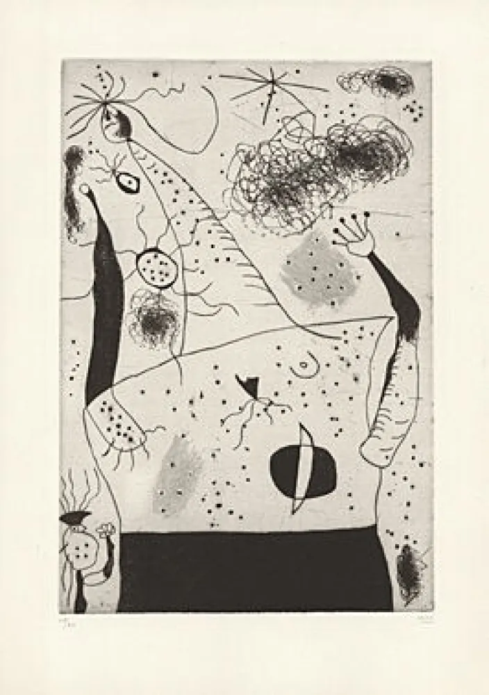 Pointe-Sèche Miró - 