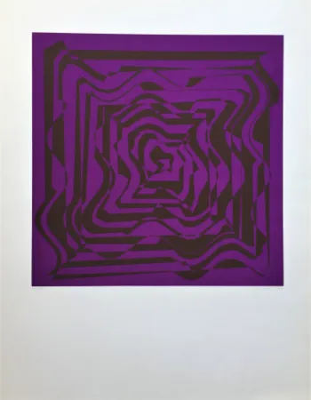 Sérigraphie Molnar - Hyper transformation