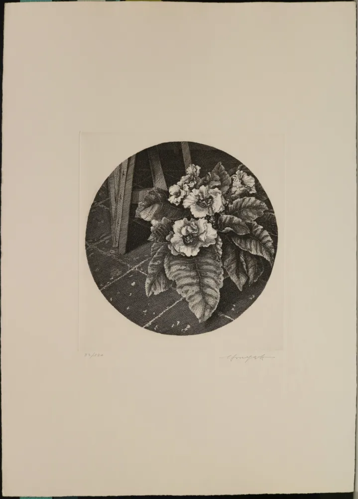 Eau-Forte Mongatti - Natura morta