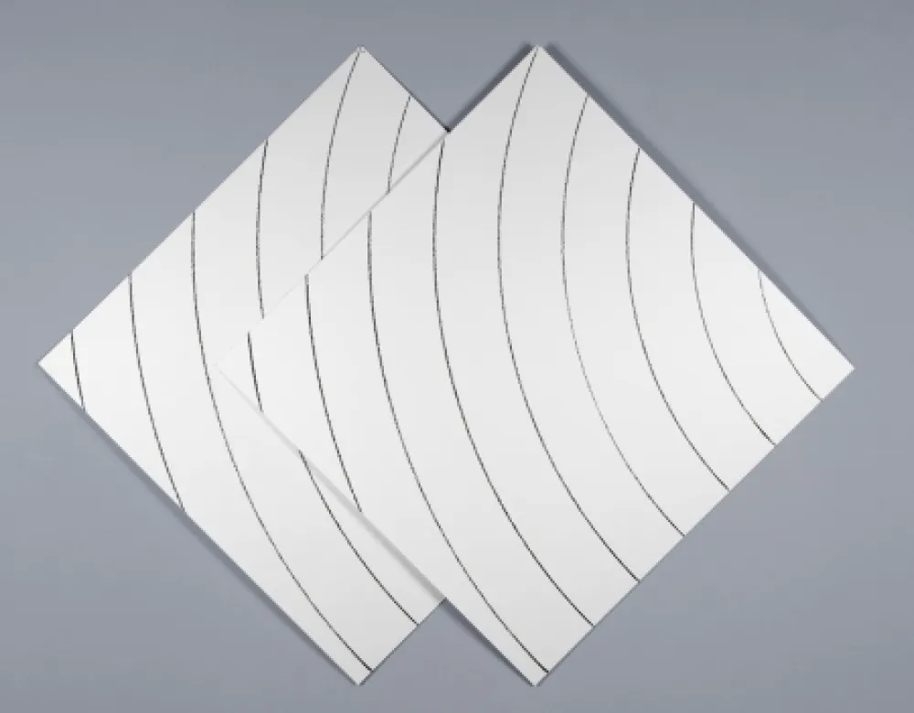 Sérigraphie Morellet - Ondes parasites 1