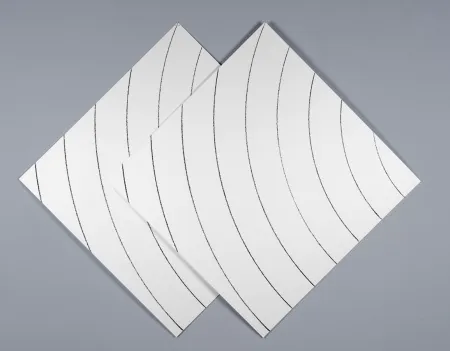 Sérigraphie Morellet - Ondes parasites 1