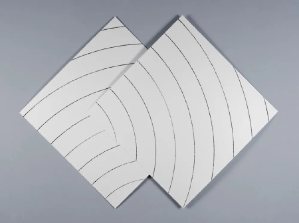 Sérigraphie Morellet - Ondes parasites 2