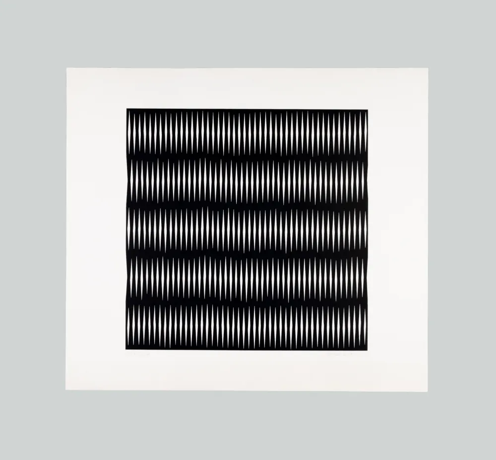 Sérigraphie Morellet - Senza titolo