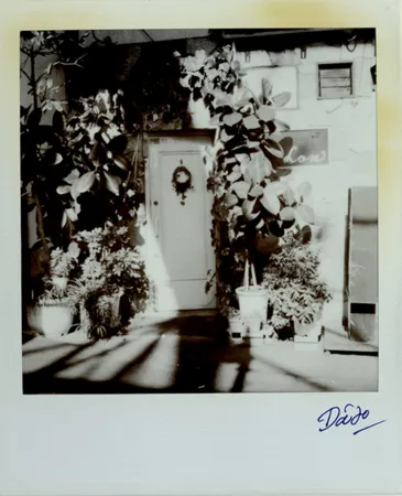 Multiple Moriyama - Passage 3