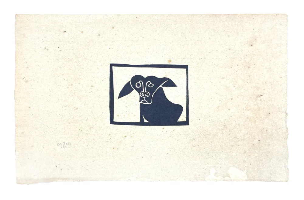 Aucune Technique Müller - SKILIA II