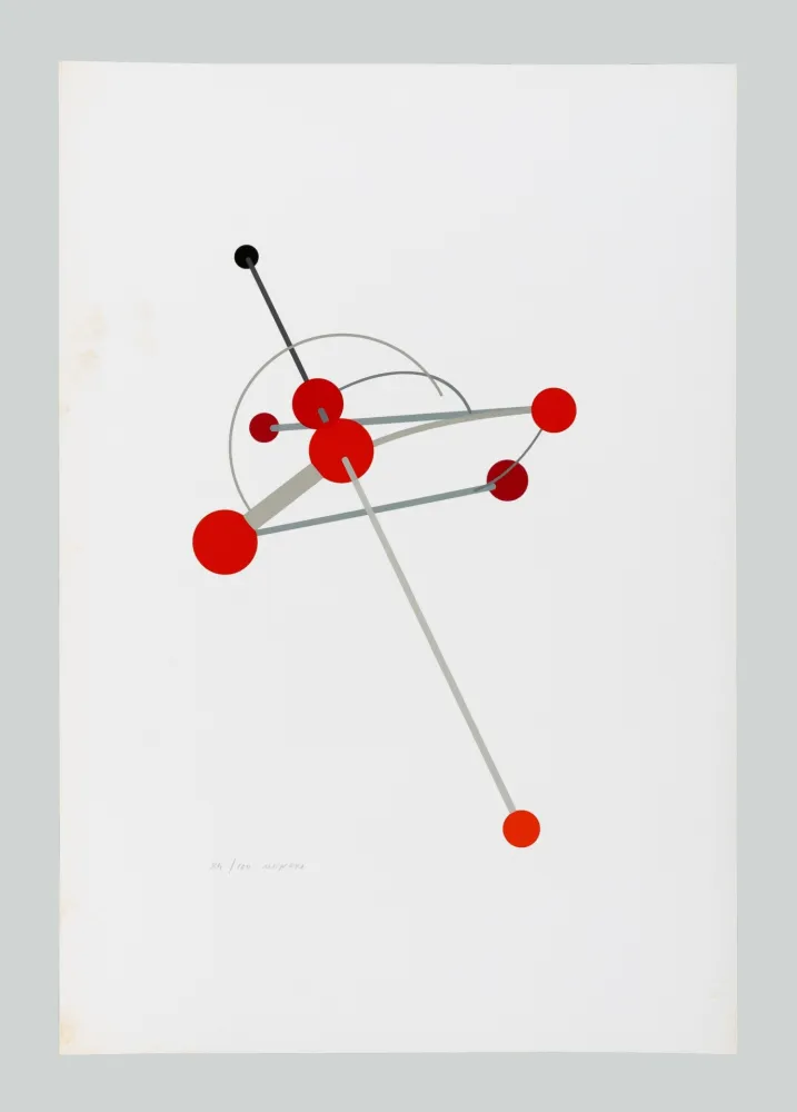 Sérigraphie Munari - Macchina aerea