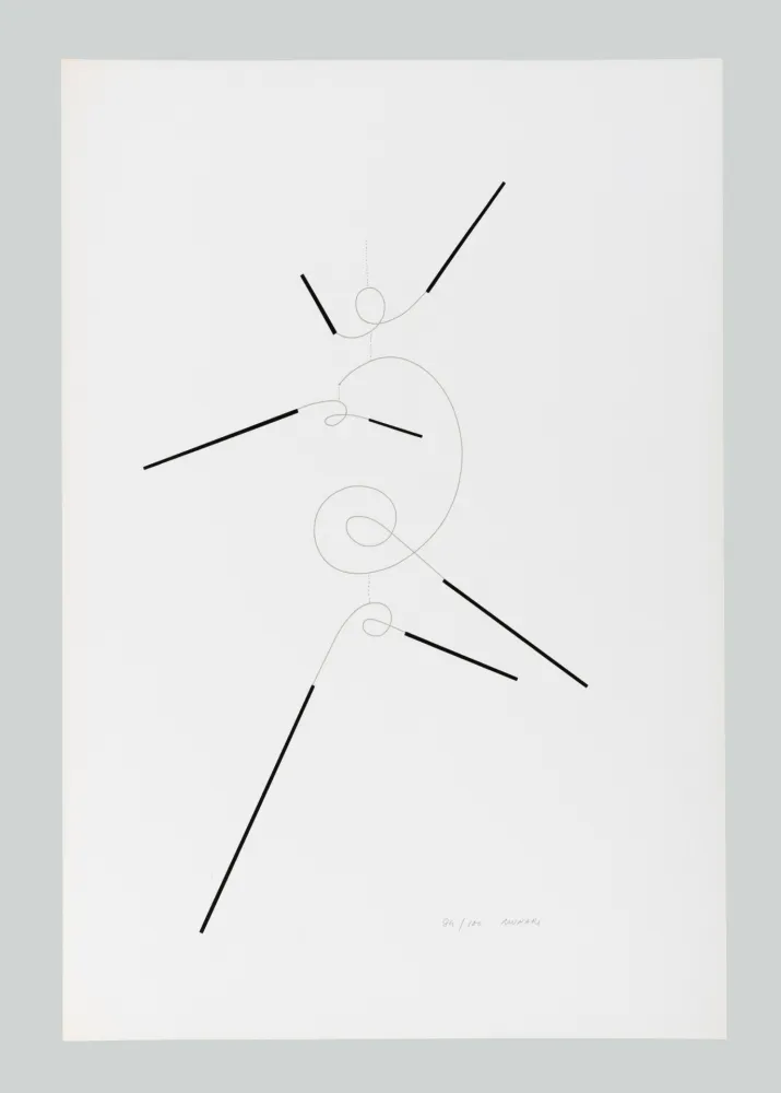 Sérigraphie Munari - Macchina inutile