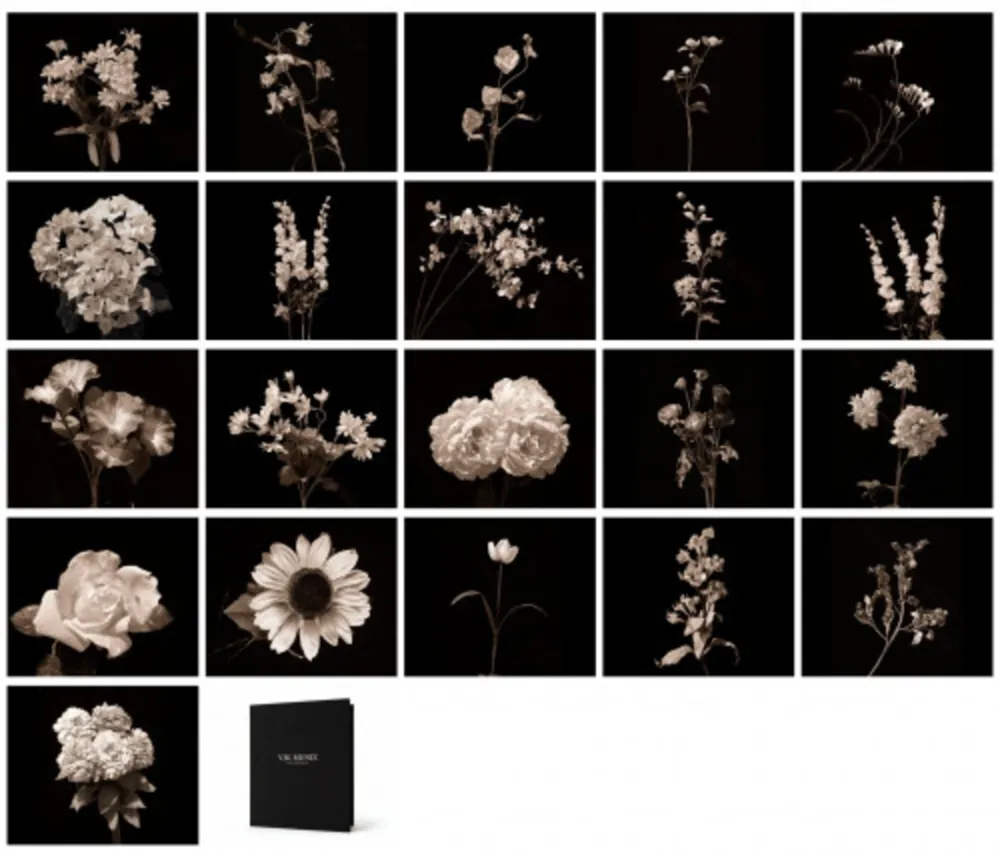 Photographie Muniz - Flora Industrialis B/N