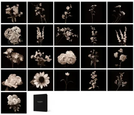 Photographie Muniz - Flora Industrialis B/N
